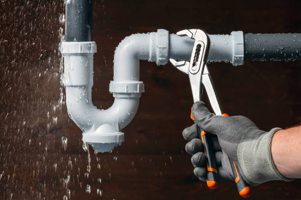 Professional Plumbing technician working in Emington, IL